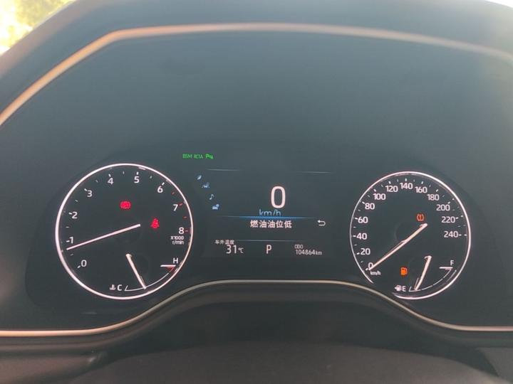Avalon 2019 2.5L Touring Premium China VI photo 7
