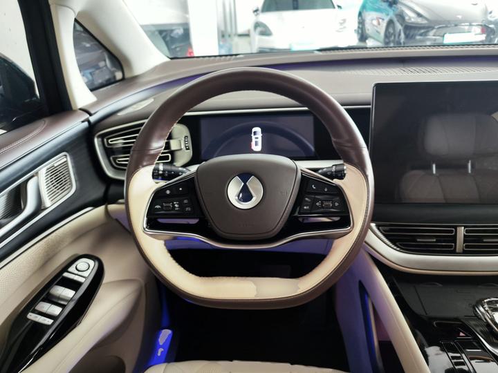 D9 2024 DM-i 980 AWD Noble photo 6