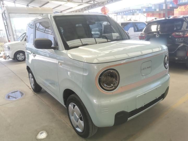 2023 Panda mini 200km Endurance Bear photo 3