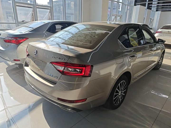 Octavia 2019 TSI230 DSG Luxury China V photo 6