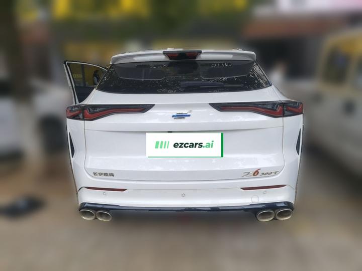 Z6 2023 1.5T DCT photo 5