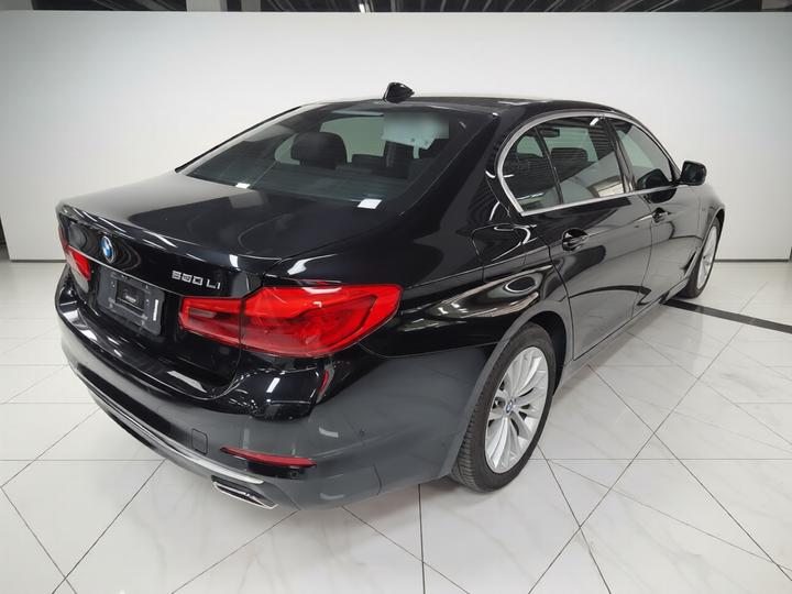 5 Series 2020 530Li Leading Luxury photo 4