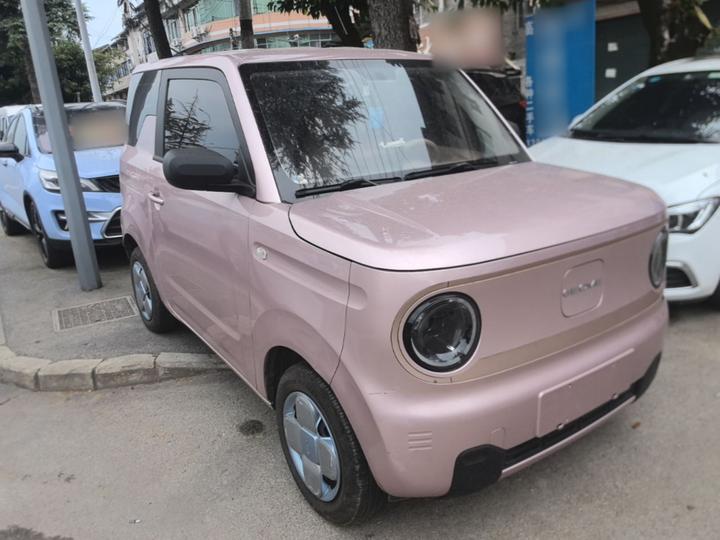 2024 Panda mini 200km Endurance Bear photo 3