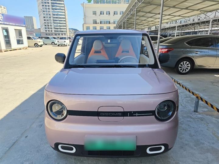 2025 Panda mini 210km Yuan photo 2