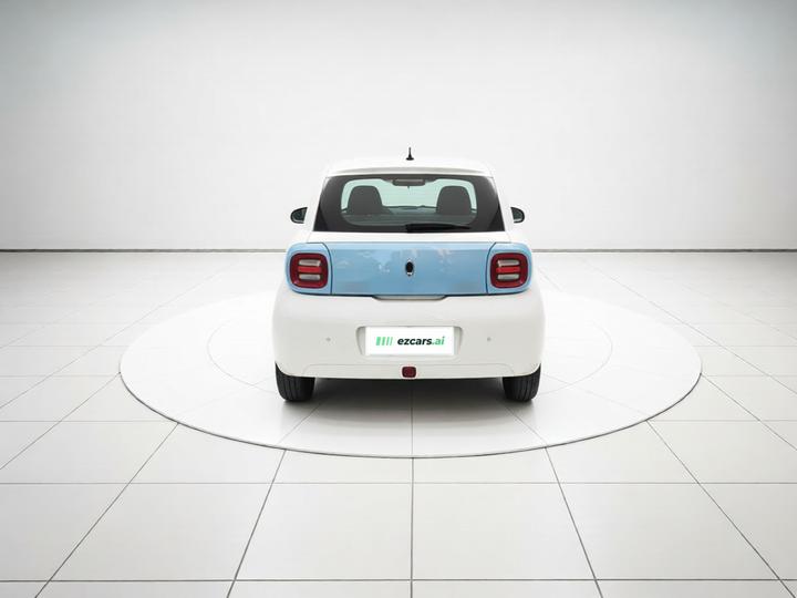 2019 351km photo 5