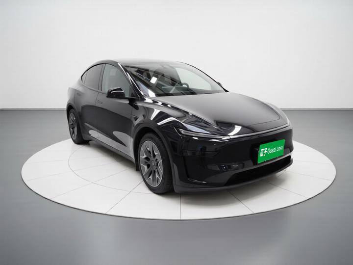 Model Y L 2025 Long Range AWD photo 3