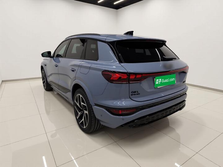 Q6L e-tron 2026 Pilot photo 4
