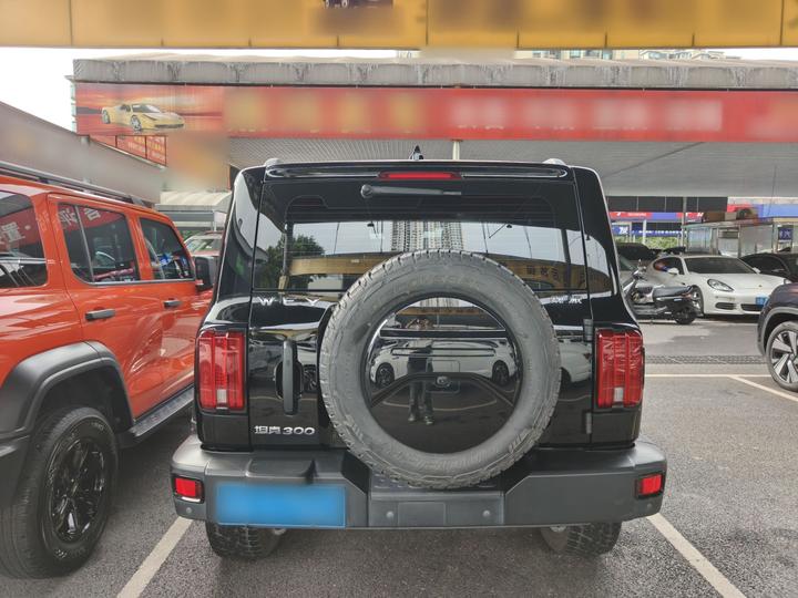 300 2021 Off-road 2.0T Conqueror photo 3