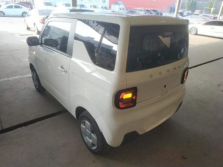 2023 Panda mini 200km Endurance Bear photo 4