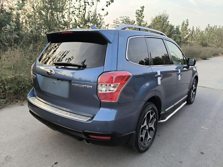 Forester 2015 2.0i Anniversary Edition photo 6