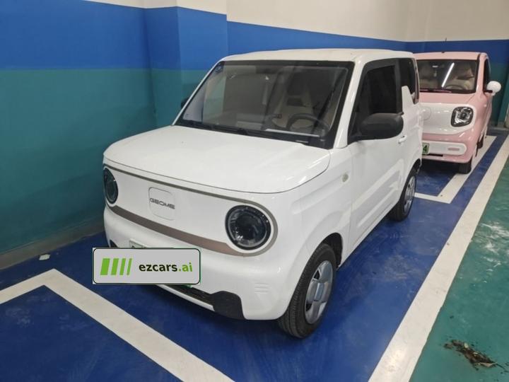 2023 Panda mini 200km Endurance Bear