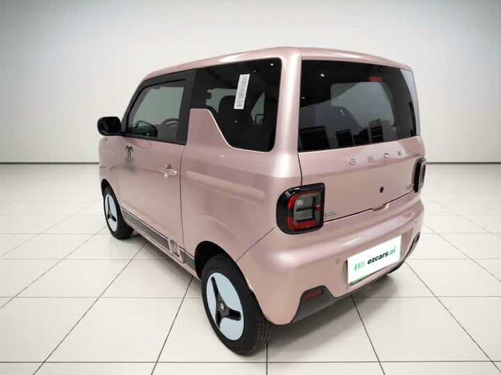 2024 Panda mini 200km Endurance Bear photo 4