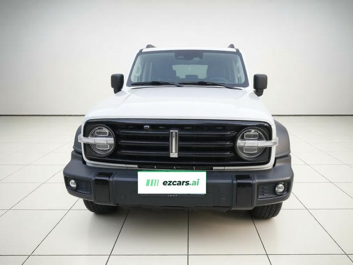 300 2021 Off-road 2.0T Conqueror photo 2