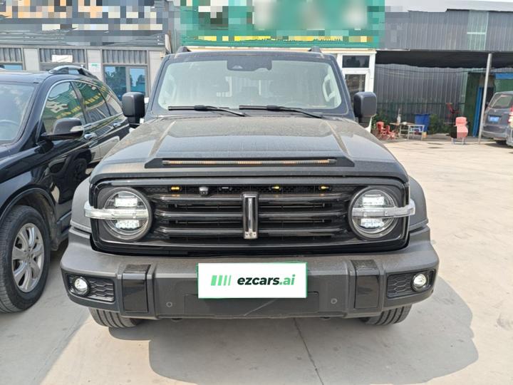 300 2021 Off-road 2.0T photo 2