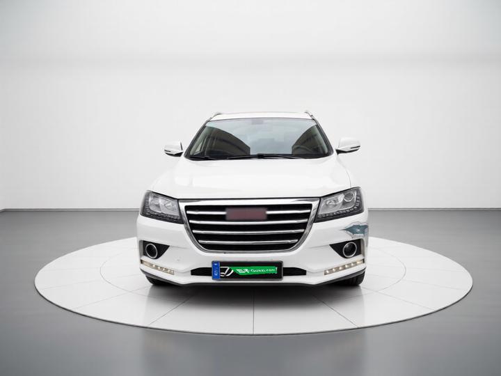 H2 2016 Red Label 1.5T AT RWD Luxury photo 2