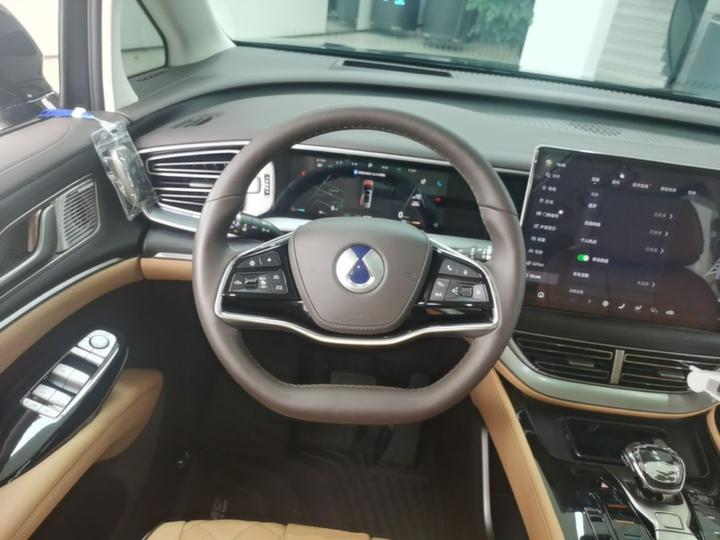 D9 2024 DM-i 980 AWD Noble photo 6
