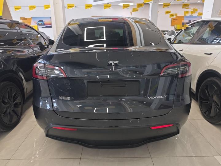 Model Y 2024 RWD photo 3