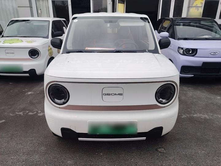 2023 Panda mini 200km Endurance Bear photo 2
