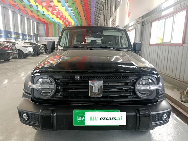 300 2023 Off-road 2.0T photo 2