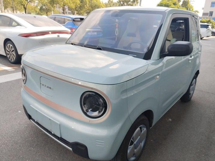 2023 Panda mini 200km Endurance Bear
