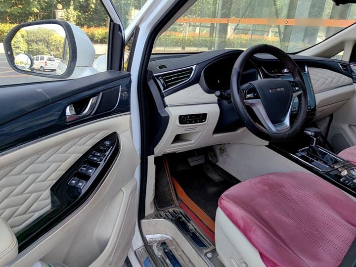 2019 1.5T AT Flagship China VI photo 3