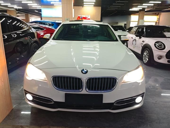 5 Series 2017 525Li Luxury Design Package photo 2