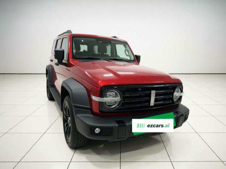 300 2021 Off-road 2.0T Conqueror photo 3