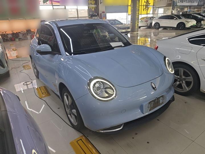 Good Cat 2021 400km Standard Range LFP photo 3