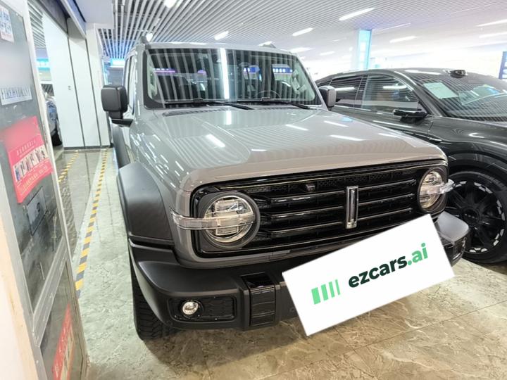 300 2021 Off-road 2.0T Conqueror photo 3