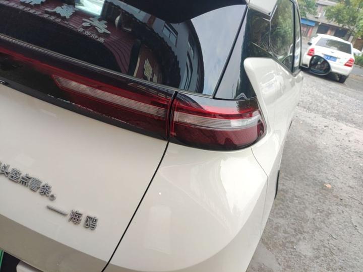 Seagull 2025 ADAS 305km photo 7