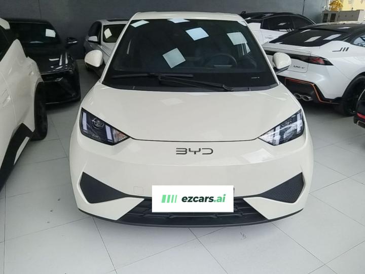 Seagull 2025 ADAS 305km photo 2