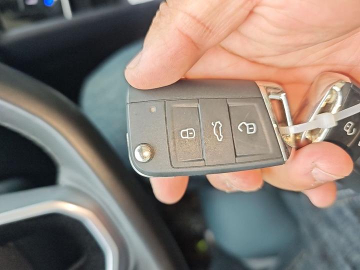 Tharu 2023 300TSI RWD photo 8