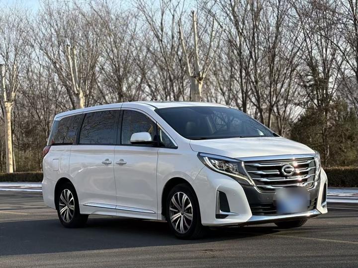 GAC Trumpchi M8 2020 Pilot 390T Premium
