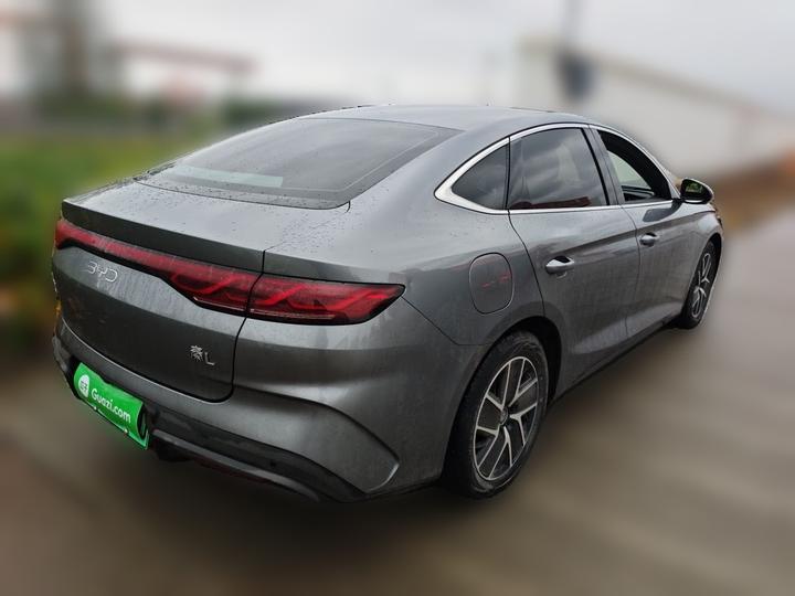 Qin L 2024 DM-i 80KM photo 6