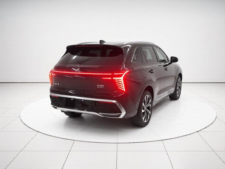 HS3 PHEV 2024 115km photo 6