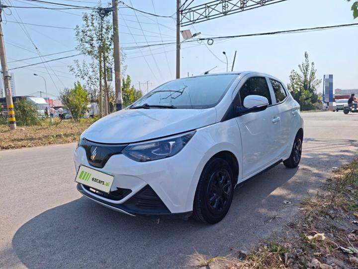 EV EV2 2023 201km Comfort