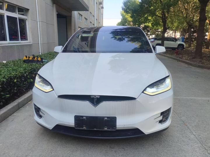 Model X 2019 Performance Performance photo 2