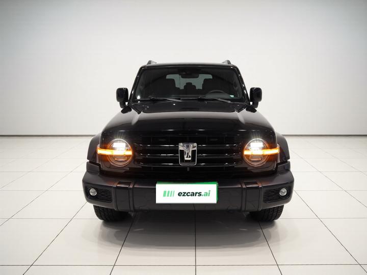 300 2024 2.0T Conqueror photo 2