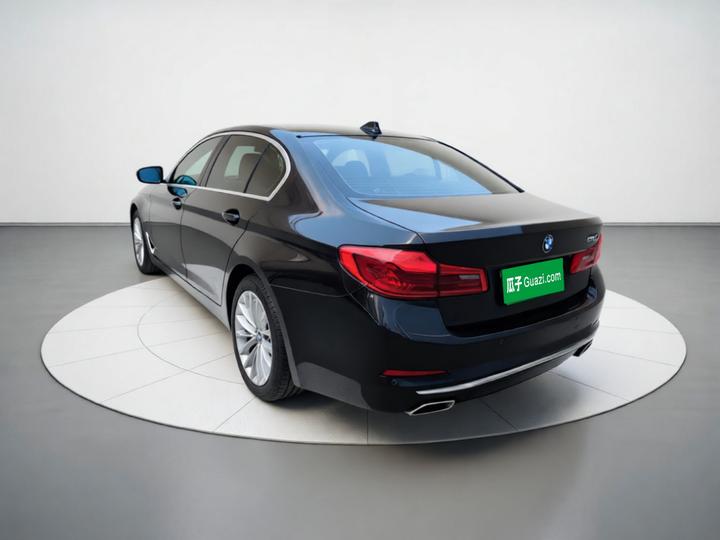 5 Series 2020 525Li Luxury photo 4