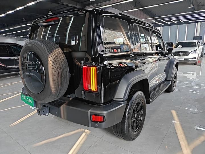 300 2023 Off-road 2.0T Conqueror photo 4