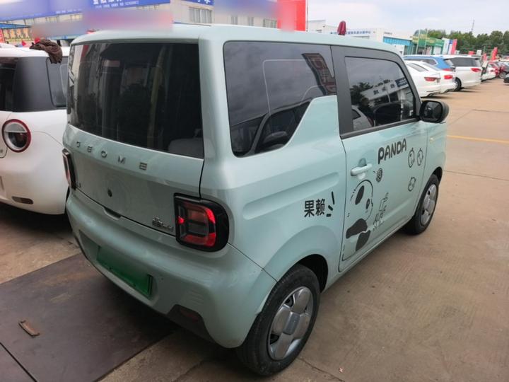 2023 Panda mini 200km Endurance Bear photo 6