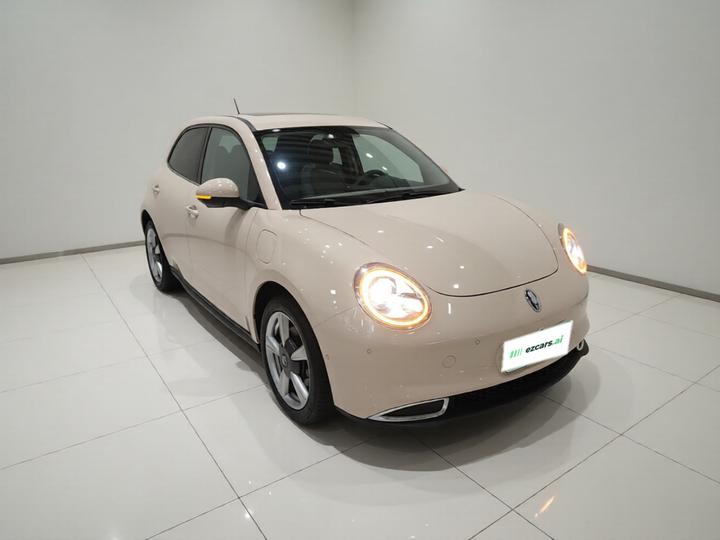 Good Cat 2022 400km Standard Range Premium NCM photo 3