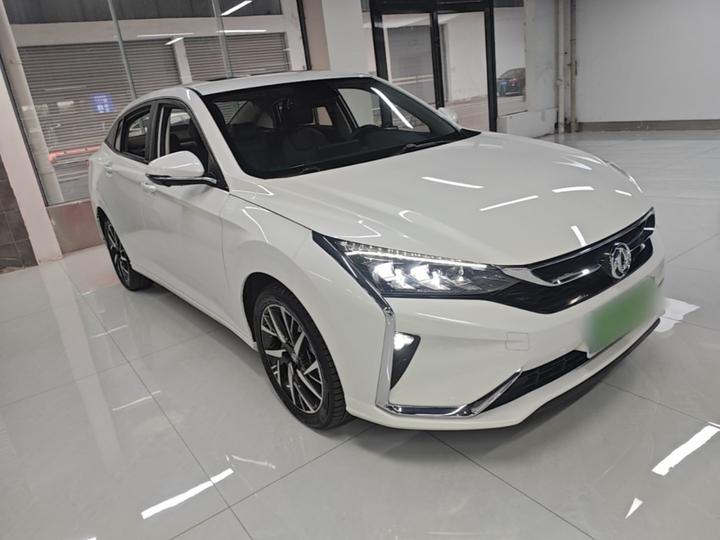 Yixuan 2020 230T AT photo 3