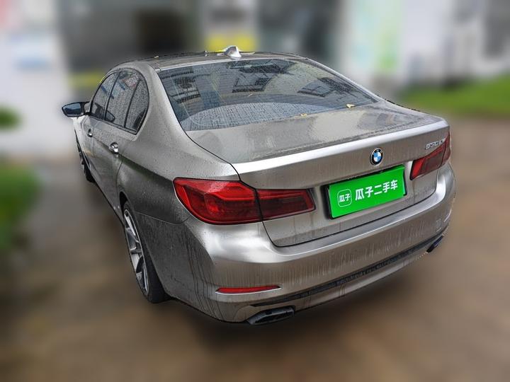 5 Series EV 2020 530Le Luxury photo 4