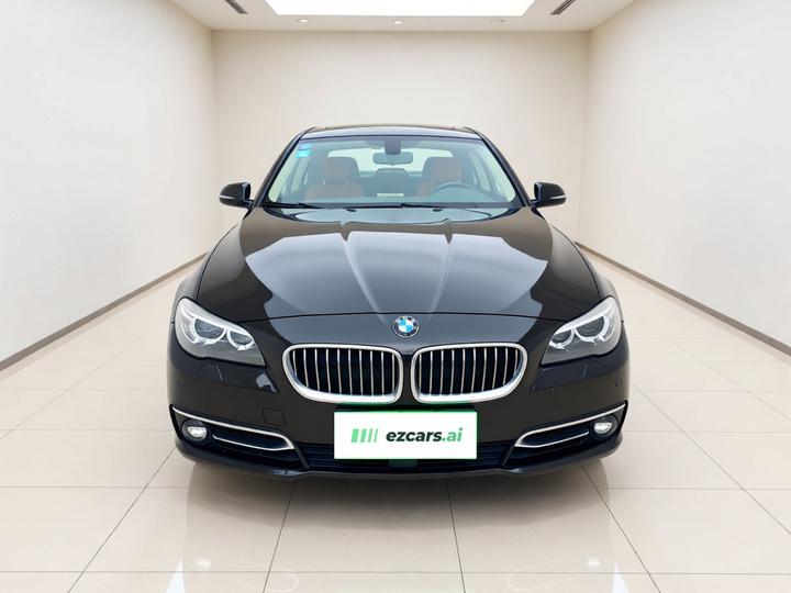 5 Series 2017 525Li Luxury Design Package photo 2