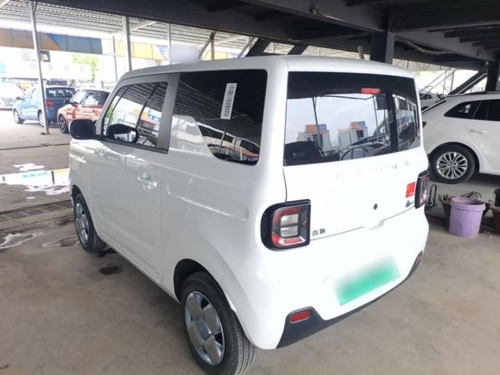 2024 Panda mini 200km Endurance Bear photo 4