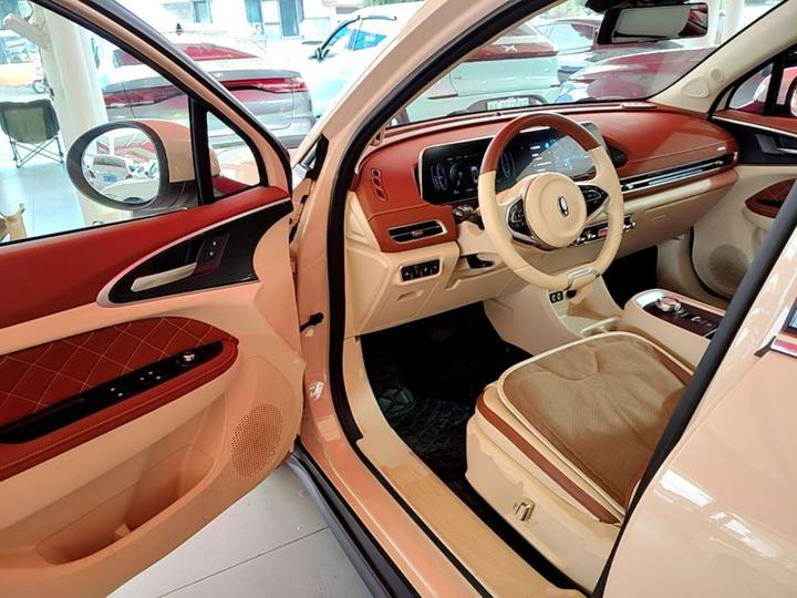 Good Cat 2022 400km Standard Range Luxury LFP photo 3