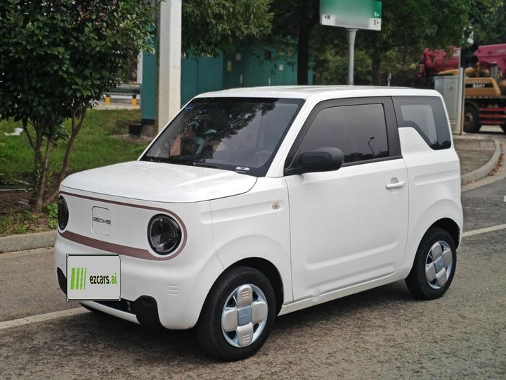 2023 Panda mini 120km