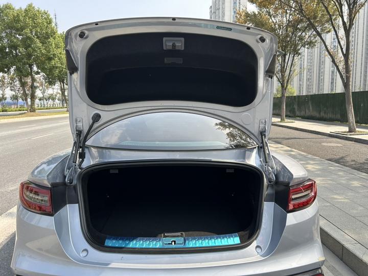 Neta GT 2023 560 photo 8