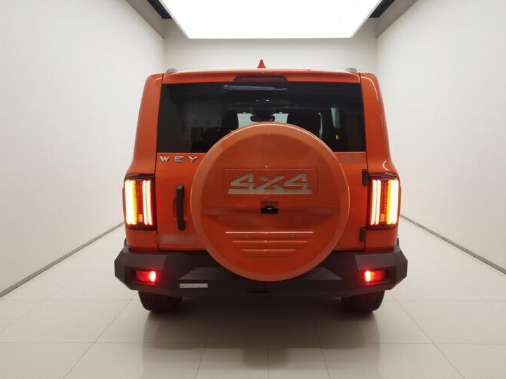300 2021 Off-road 2.0T Conqueror photo 5